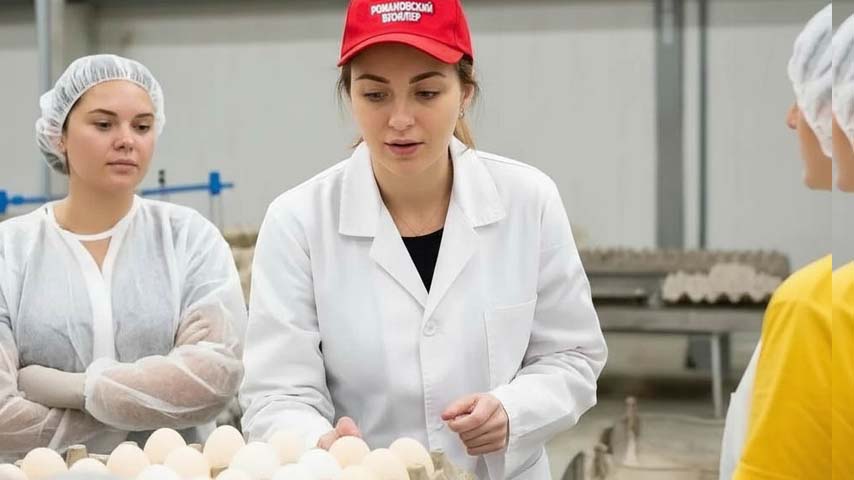 Специалист консультирует работников икубатор
