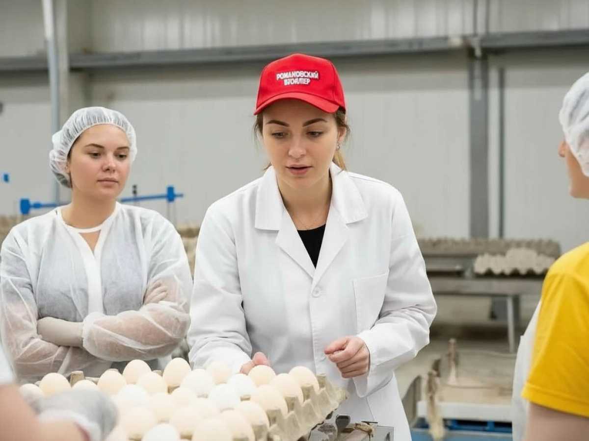 Консультационное сопровождение на производстве